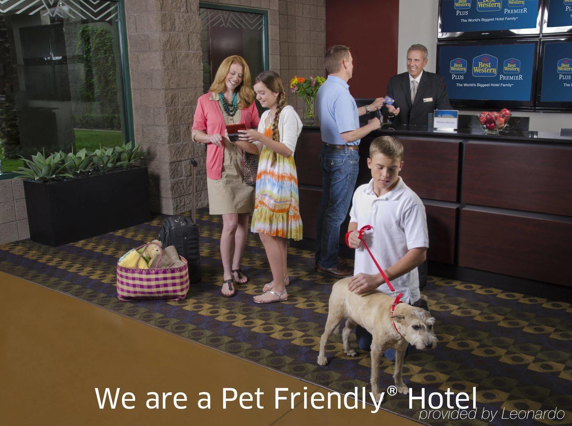 Best Western Plus Lytle Inn&Suites Exterior foto